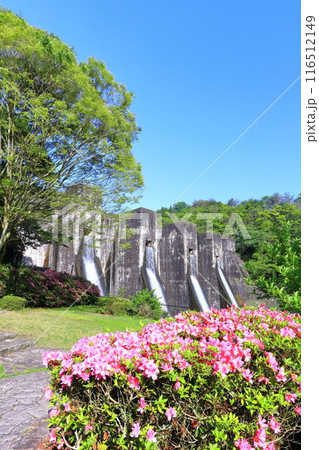 【香川県】ツツジ咲く春の豊稔池ダム（豊稔池堰堤）国最初の石積式多連マルチプルアーチダム 116512149