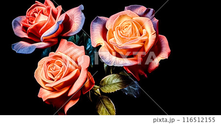 Red rose bouquet on white background 116512155