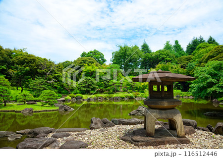 旧古河庭園の雪見灯篭と水面に映える景観 若葉に新緑 旧古河庭園の雪見灯篭と水面に映える景観 若葉に新緑 116512446