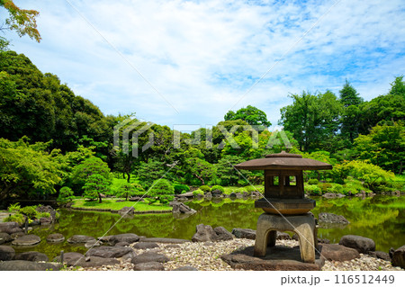 旧古河庭園の雪見灯篭と水面に映える景観　若葉に新緑 116512449