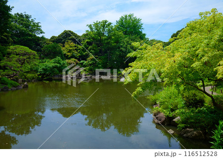 旧古河庭園の雪見灯篭と水面に映える景観　若葉に新緑 116512528
