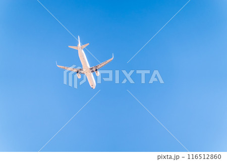 Airplane before landing in blue sky, Airbus A321-200 116512860