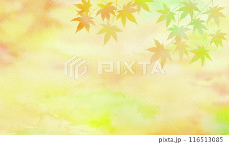 秋の夕暮れに美しく色付いたモミジを添えた秋フレーム。水彩イラスト。 116513085