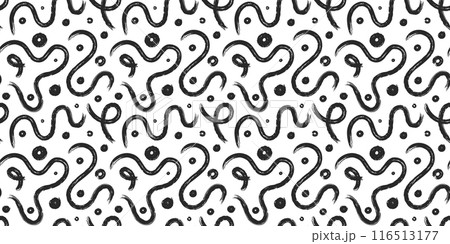Abstract squiggles black-white seamless pattern 116513177
