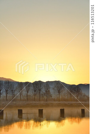 朝の福島潟(新潟県) 朝の福島潟(新潟県) 116513201