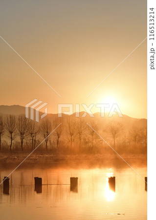 朝の福島潟(新潟県) 朝の福島潟(新潟県) 116513214