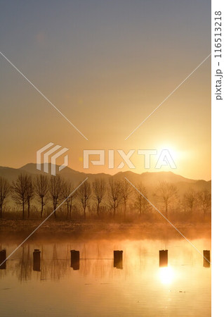 朝の福島潟（新潟県） 116513218