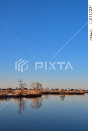 朝の福島潟（新潟県） 116513224