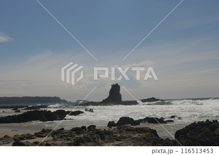 荒い波の海岸 116513453