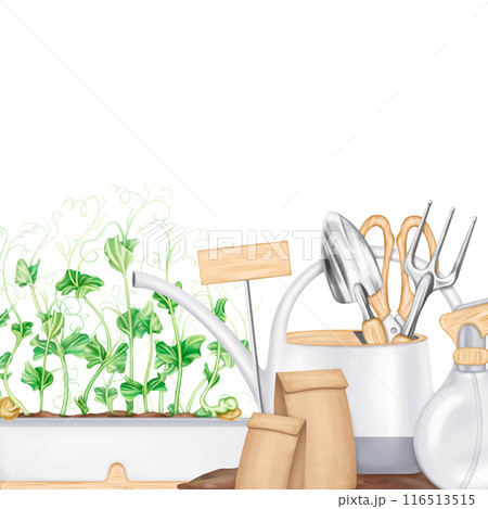 A composition of tools: watering can, rake, shovel, sprayer, seeds, boxes of greens. Garden equipment. Agriculture, cultivation of plants and flowers. Frames for decoration, boards for design 116513515