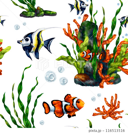 Colorful sea fish in the ocean. Tropical waterfowl among green algae . Underwater life, diving and snorkeling, traveling to exotic places. Seamless pattern, digital illustration 116513516
