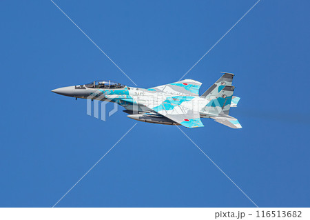 大空を飛ぶF-15戦闘機(アグレッサー) 大空を飛ぶF-15戦闘機(アグレッサー) 116513682