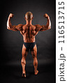 背中　筋肉 116513715