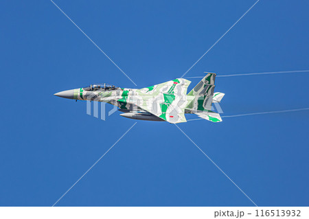 大空を飛ぶF-15戦闘機（アグレッサー） 116513932