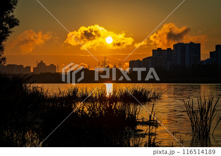 Sunset over the Moscow-city and the lake, Russia. The sun is reflected in the water. 116514189