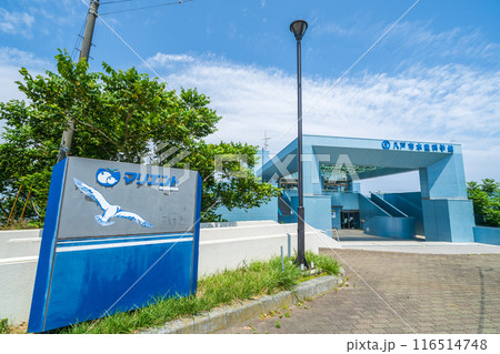 「青森県」八戸市水産科学館マリエントの出入り口 116514748