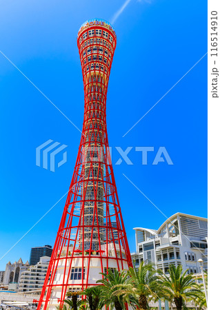 兵庫県　神戸市　メリケンパークにある神戸ポートタワー 116514910