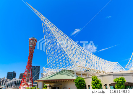 兵庫県　神戸市　メリケンパークにある神戸ポートタワーと神戸海洋博物館 116514926