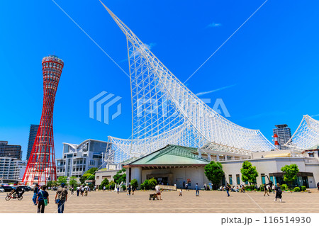 兵庫県　神戸市　メリケンパークにある神戸ポートタワーと神戸海洋博物館 116514930
