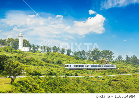 「青森県」種差海岸を走る東北エモーション・八戸市 「青森県」種差海岸を走る東北エモーション・八戸市 116514984