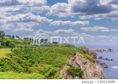 「青森県」種差海岸を走る東北エモーション・八戸市 116514990