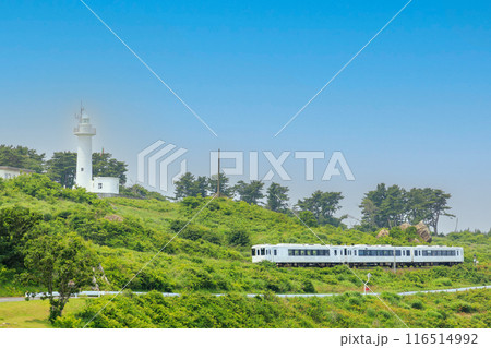 「青森県」種差海岸を走る東北エモーション・八戸市 116514992