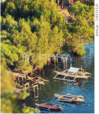 新緑の木々に囲まれた漁師の手造り船着場 116515128