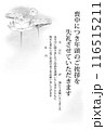 蓮の水墨画の喪中欠礼はがき 文例入り モノトーン(はがきサイズ) 116515211