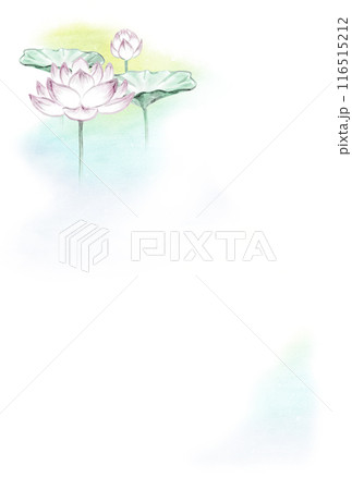 蓮の墨彩画の喪中欠礼はがき 背景素材 カラー(はがきサイズ) 116515212