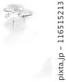 蓮の墨彩画の喪中欠礼はがき 背景素材 モノトーン(はがきサイズ) 116515213