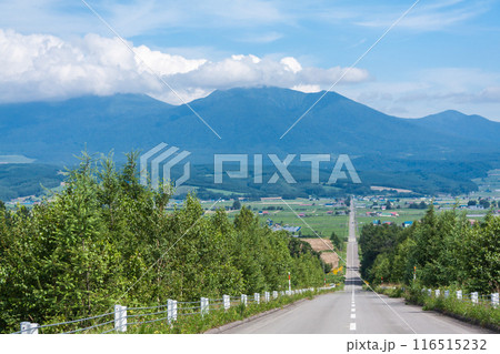 「北海道」パノラマロード江花・上富良野 116515232