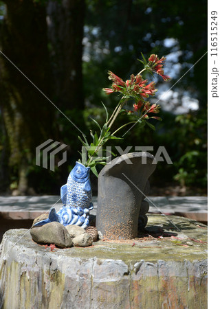 黄檗山萬福寺　境内の生け花　京都府宇治市 116515249