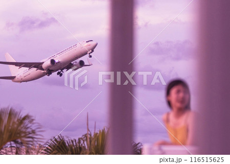 旅行の思い出イメージ　離する飛行機 116515625