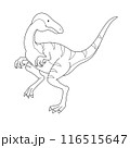 恐竜塗り絵　かわいいメガプノサウルス（模様あり） 116515647