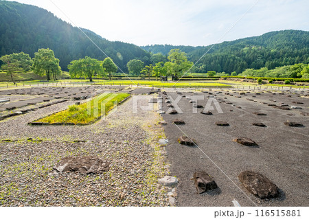 一乗谷朝倉氏遺跡 福井県福井市城戸ノ内町 一乗谷朝倉氏遺跡 福井県福井市城戸ノ内町 116515881