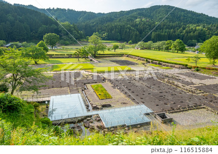 一乗谷朝倉氏遺跡　福井県福井市城戸ノ内町 116515884