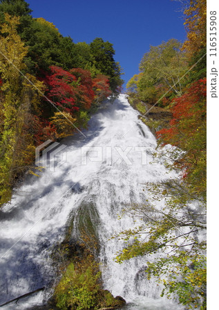 秋の奥日光湯滝 116515908