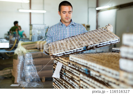 Portrait of male farm worker loading boxes with vegetable seeds in stack on greenhouse plantation 116516327