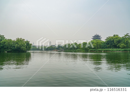 大明湖の風景 大明湖の風景 116516331