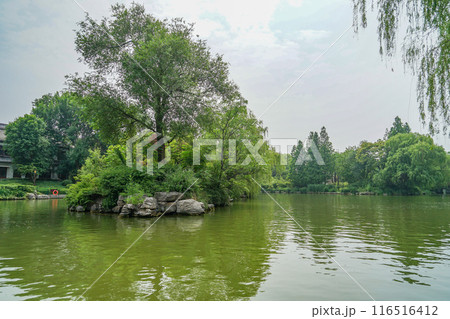 大明湖の風景 116516412