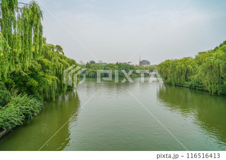 大明湖の風景 116516413