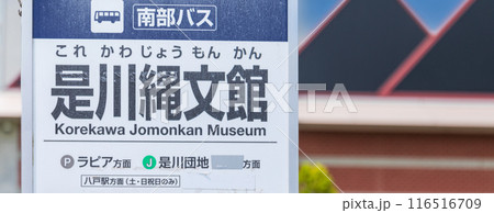 「青森県」是川縄文館(八戸市埋蔵文化財センター)・八戸市 「青森県」是川縄文館(八戸市埋蔵文化財センター)・八戸市 116516709