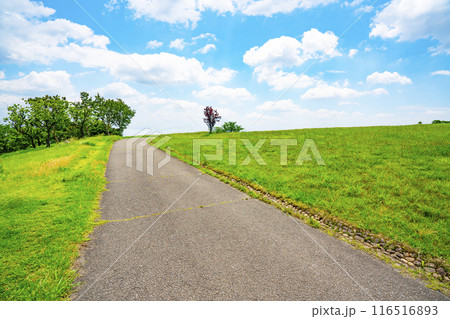 夏の青空と草原と道路 夏の青空と草原と道路 116516893
