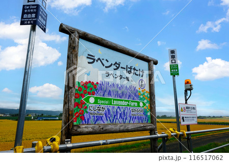 ラベンダーばたけ駅 ラベンダーばたけ駅 116517062