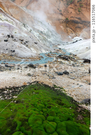 地獄谷の苔と湯の川（縦） 116517066