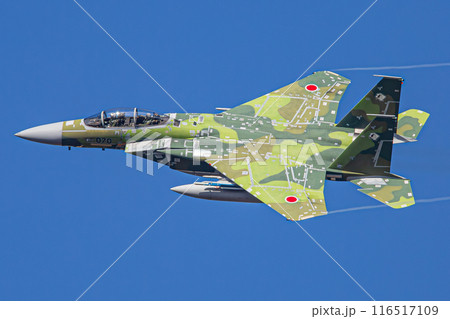 大空を飛ぶF-15戦闘機（アグレッサー） 116517109