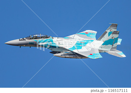 大空を飛ぶF-15戦闘機（アグレッサー） 116517111
