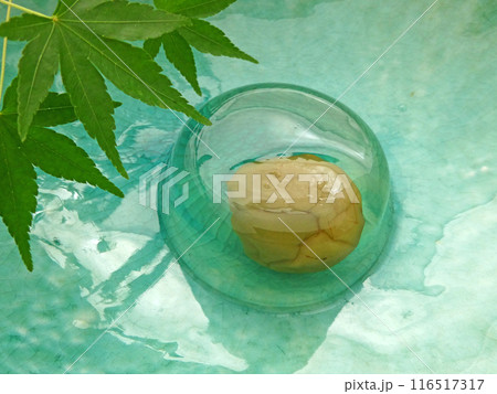 梅の実が透けて見える、さわやかな梅ゼリーの写真 116517317