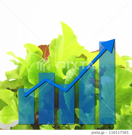 無農薬野菜などの食品が値上がりするグラフ 無農薬野菜などの食品が値上がりするグラフ 116517365