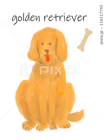 ゴールデンレトリバー　犬のイラスト素材 116517745